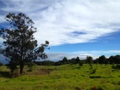 View facing Makai, or towards the ocean