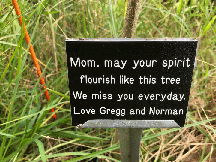 Sample Sign in Field