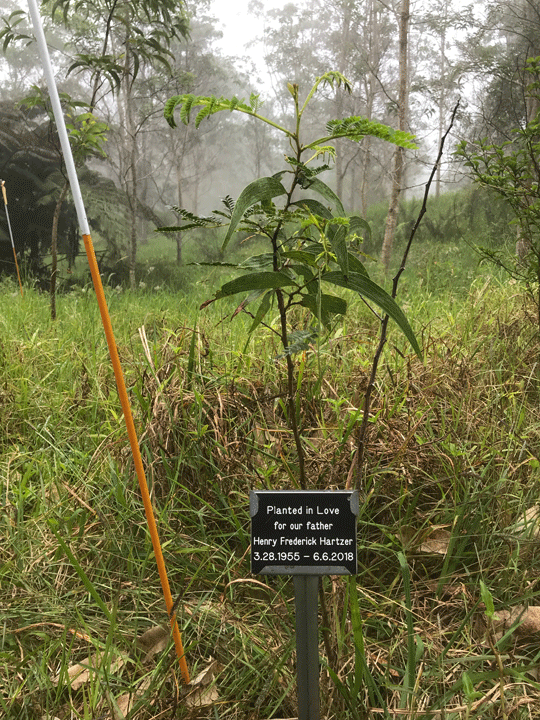Sample Sign in Field